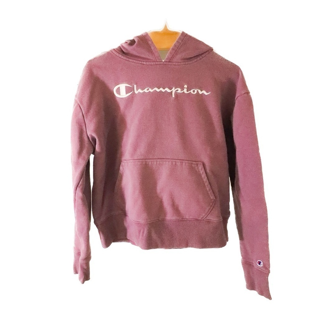 CHAMPION  purple hoodie in size small
